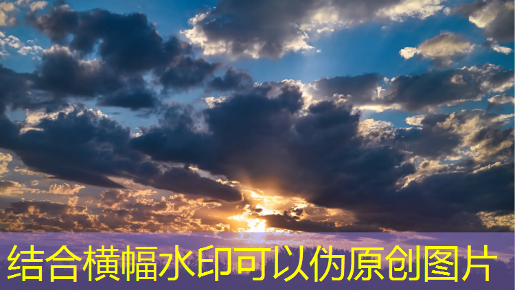 嵊州操场塑胶跑道价格