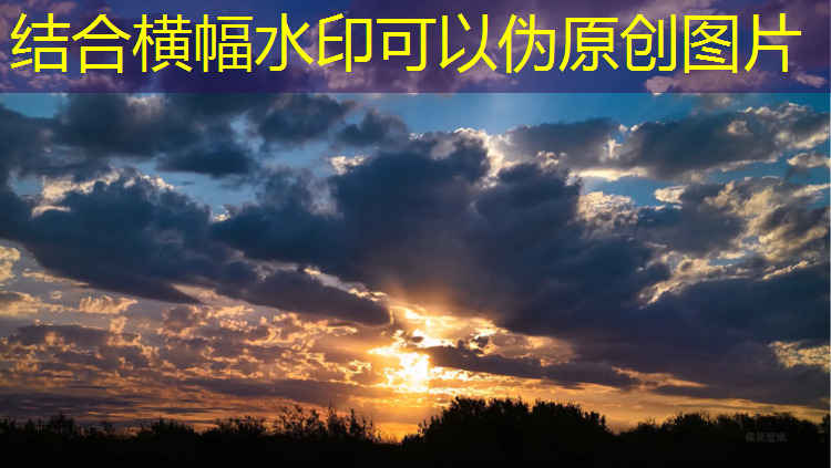 大型塑胶跑道清洗机