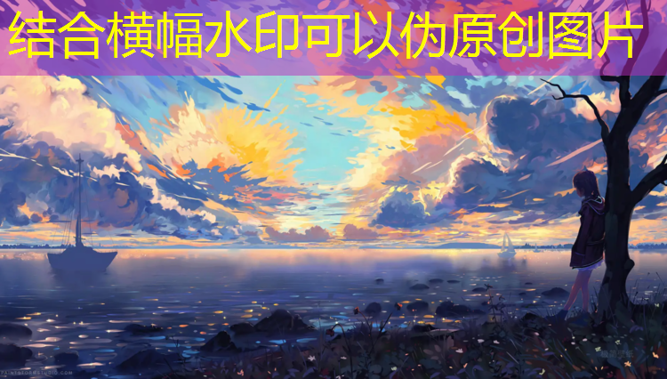 网球网和排球网