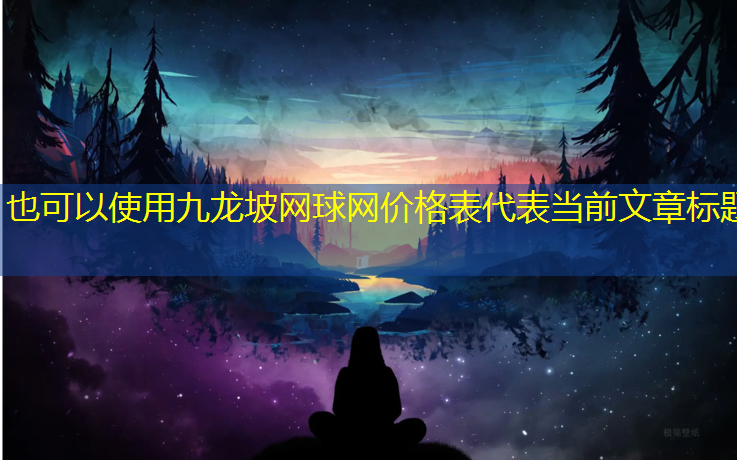 九龙坡网球网价格表