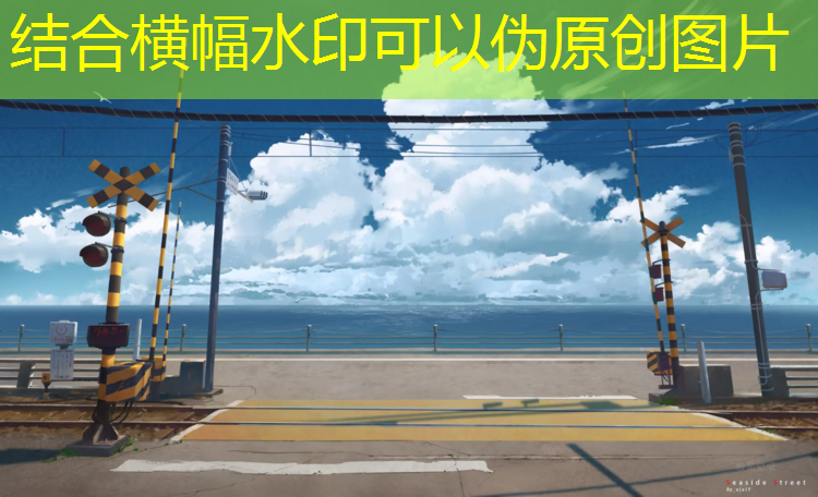 吴中全塑型塑胶跑道