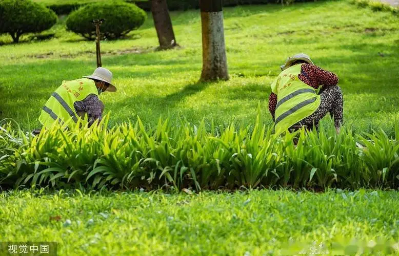 米乐m6官网登录入口：网球拍上有牛头标志