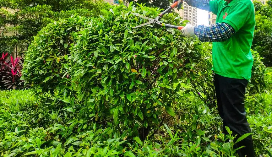米乐m6官网：辛纳用的什么网球拍底板