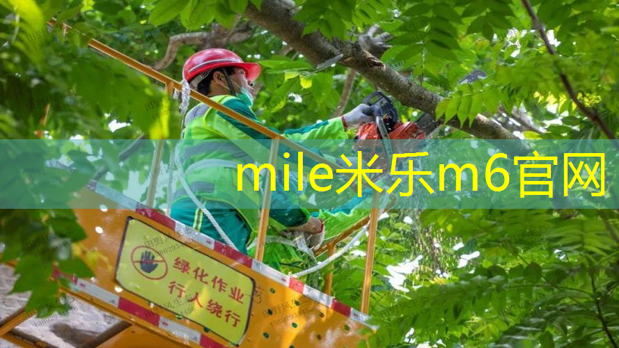米乐m6官网登录入口：网球拍柄皮能自己换吗_