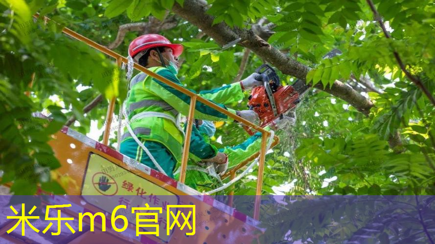 mile·米乐m6：网球拍软硬怎么调的快