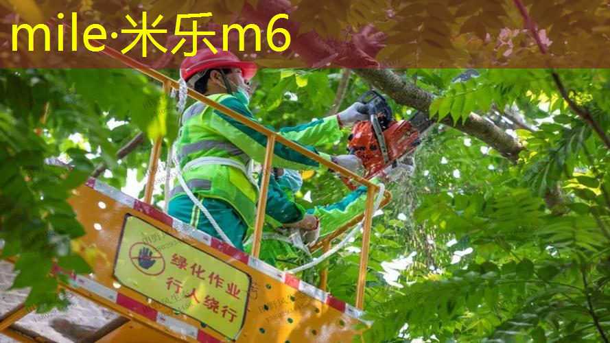 mile米乐m6官网：青年人网球拍怎么选尺寸