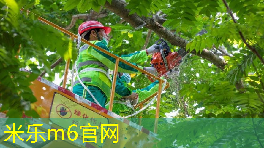 mile·米乐m6：一百块左右的网球拍有哪些