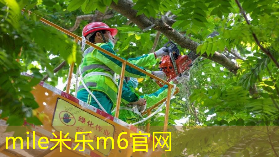 米乐m6官网：单人网球拍运动适合老年人吗_