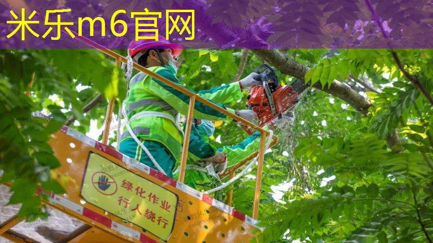 米乐m6官网登录入口：新手网球拍情侣怎么选尺码