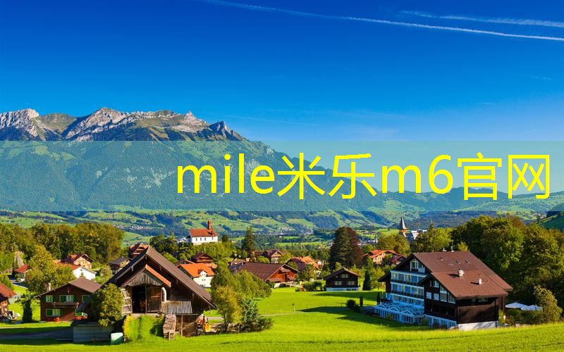 mile米乐m6官网：网球拍震动厉害怎么办
