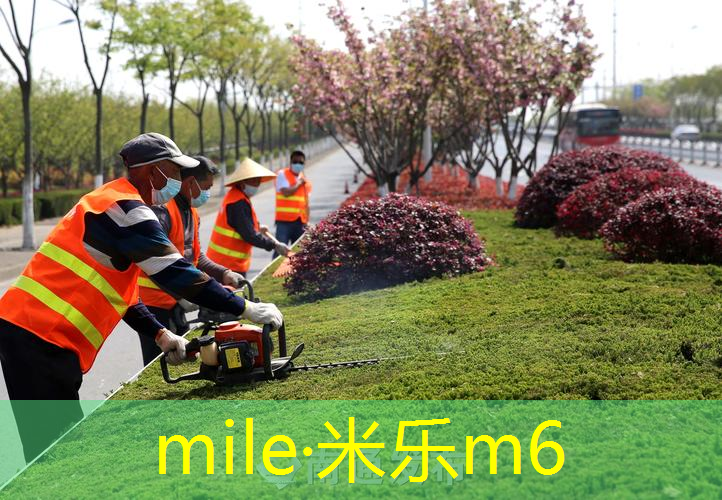 米乐m6官网登录入口：网球拍碳合金和全碳素