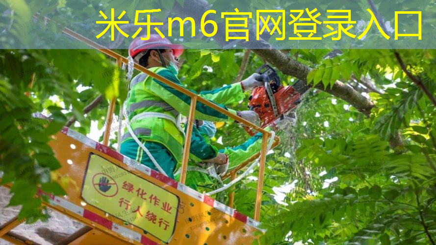 mile·米乐m6：网球拍框保护条怎么安装