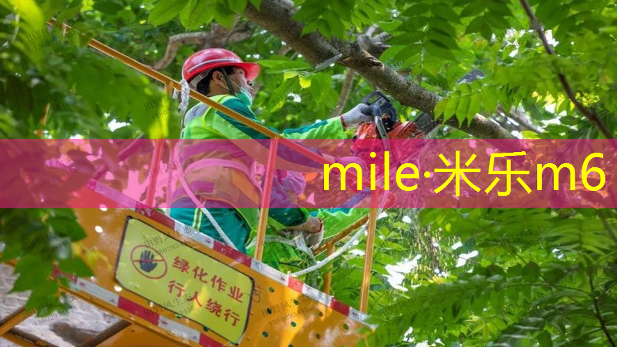 米乐m6官网：网球拍练习球绳子系法
