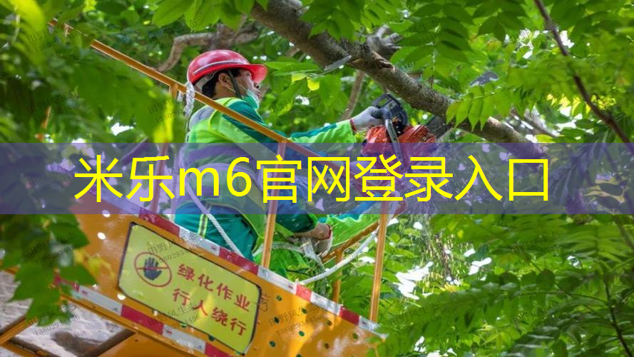 米乐m6官网登录入口：怎么降网球拍头角度呢图解