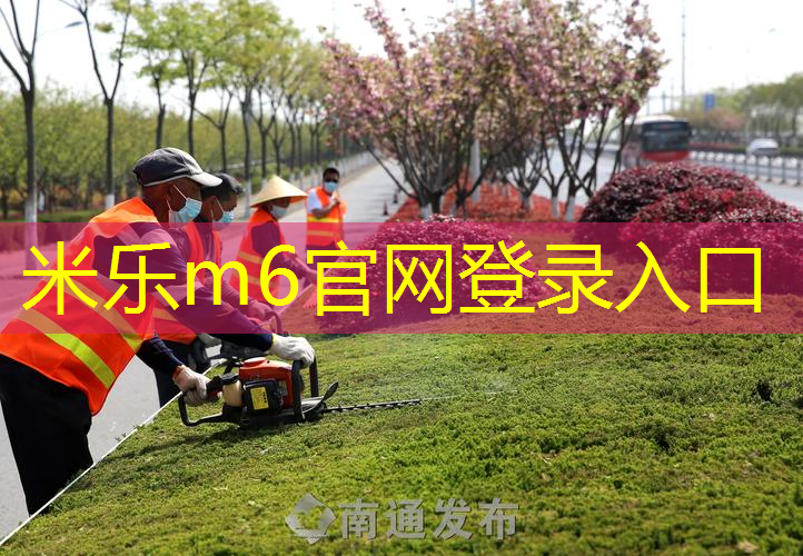 米乐m6官网：塑胶跑道材料的美学与实用兼得！