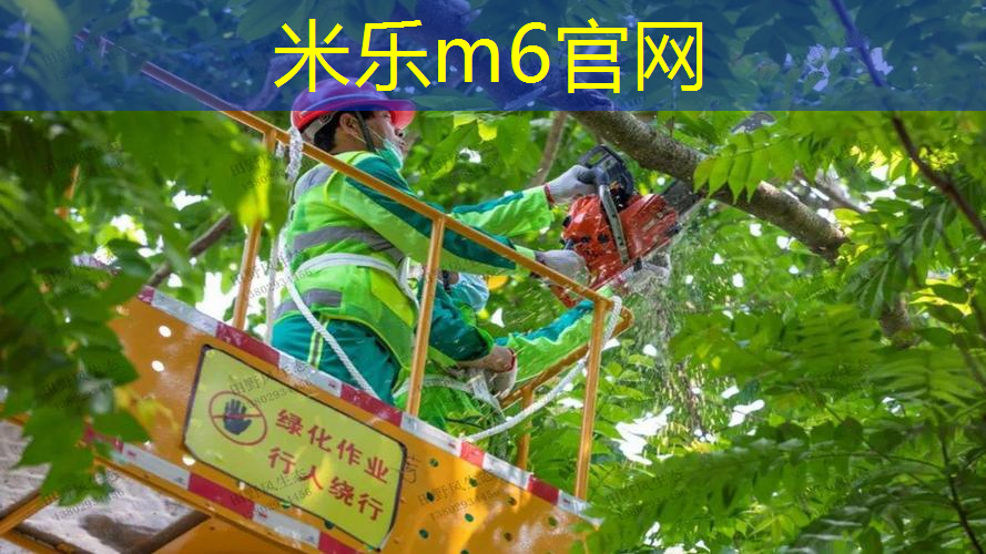 米乐m6官网登录入口：乒乓球台生产核心技术