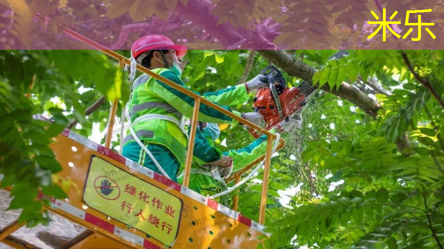 mile·米乐m6：体育器材架篮球筐