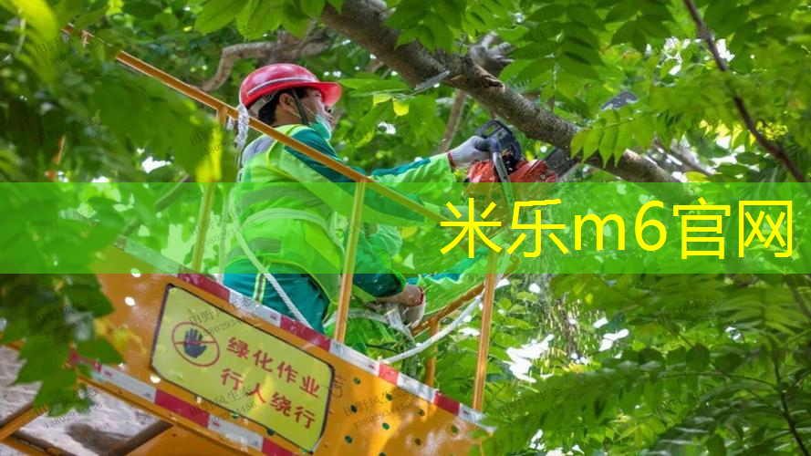 网球拍柄皮能自己换吗_