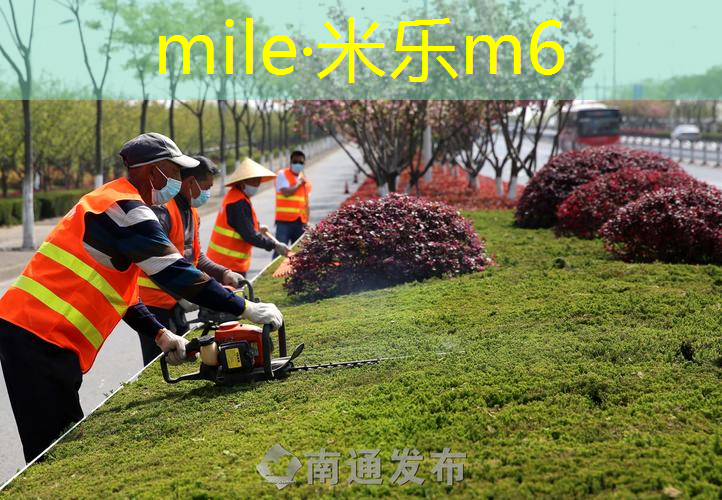 网球拍哪款好使耐用又便宜