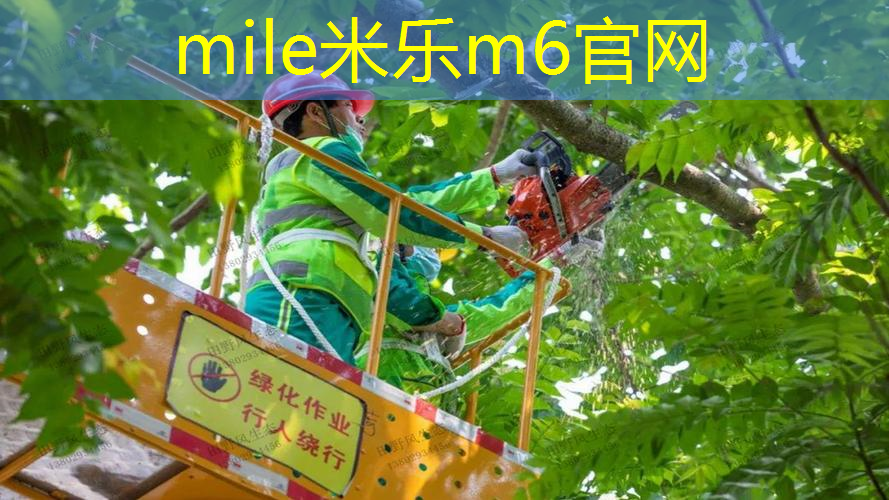青年人网球拍怎么选尺寸