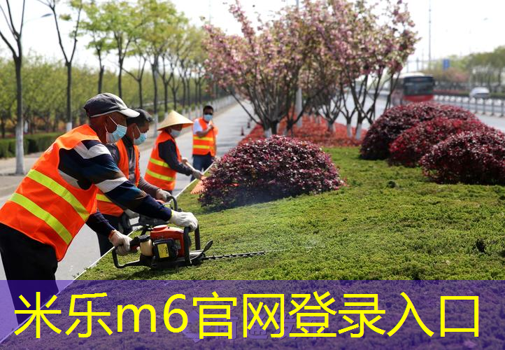 适合自己的人网球拍有哪些