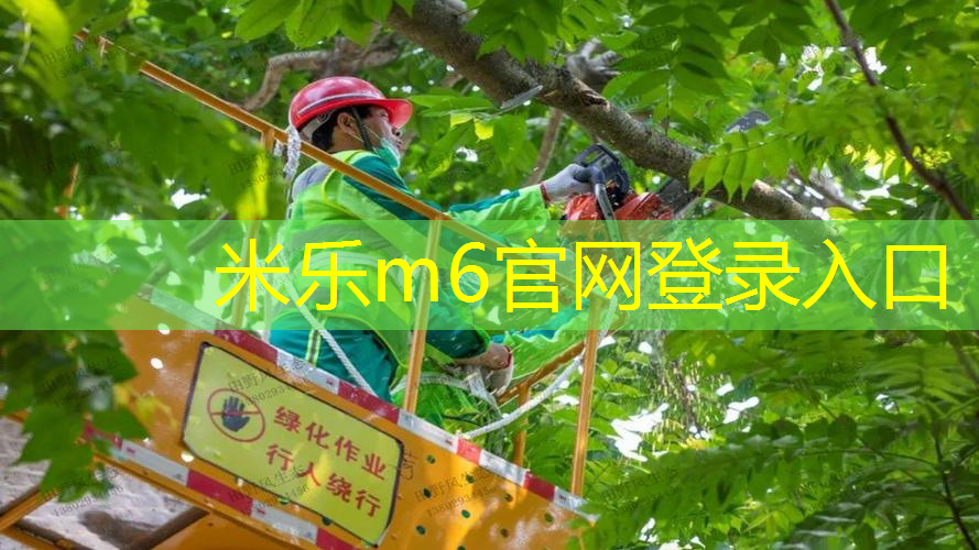 单人网球拍运动适合老年人吗_
