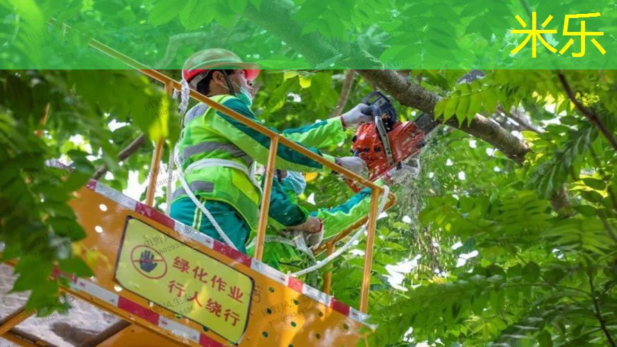 新手网球拍情侣怎么选尺码