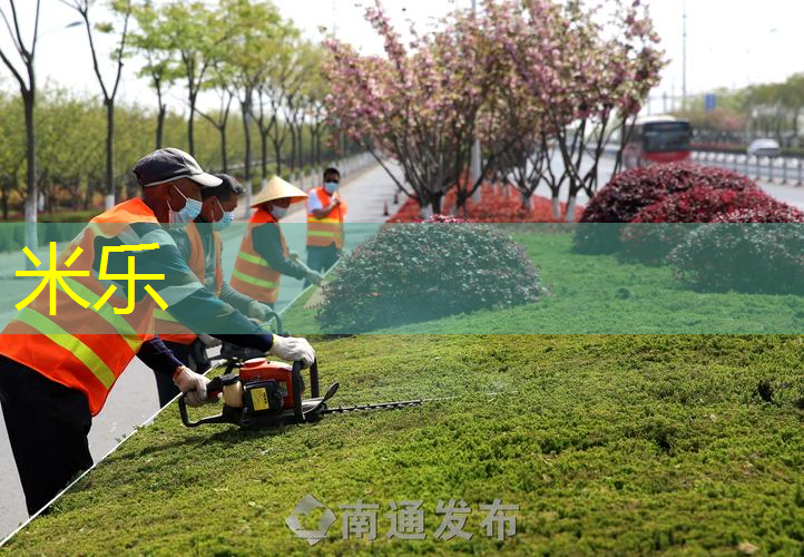 可以把网球拍抛出回击球吗_