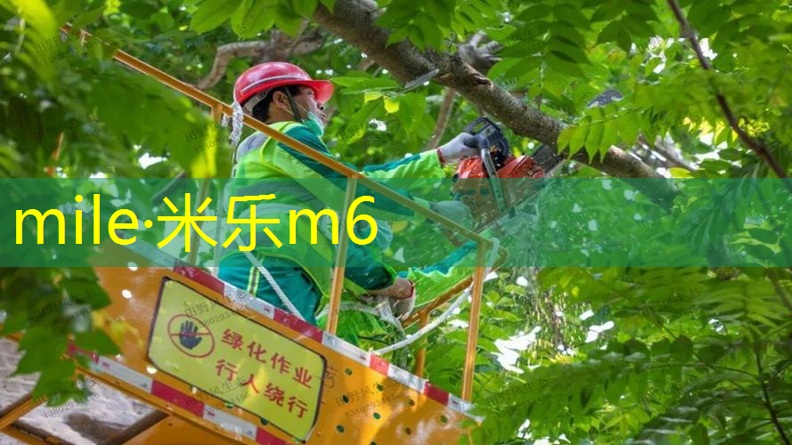 广州哪里可以网球拍拉线