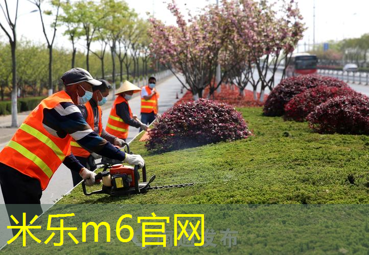 网球拍碳合金和全碳素