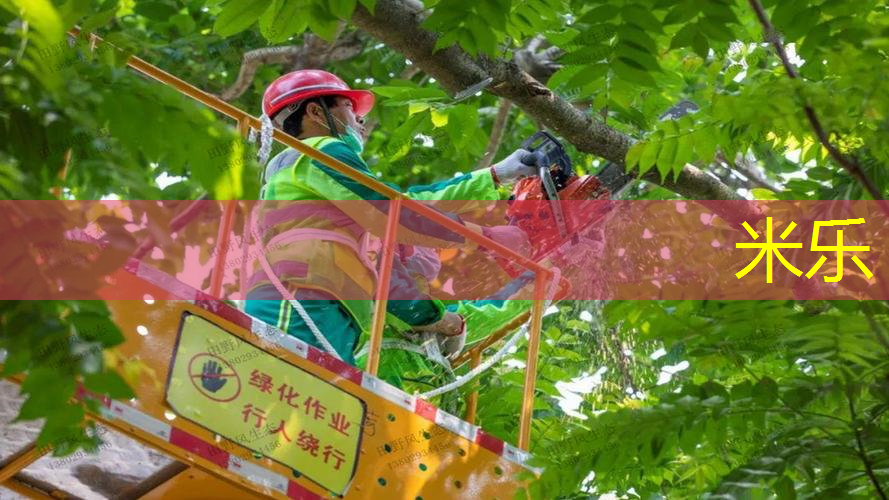 网球拍框保护条怎么安装