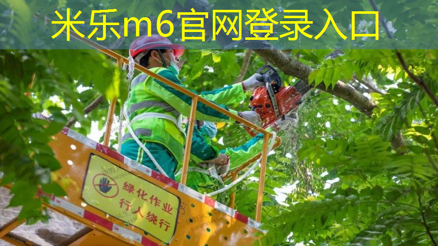 网球拍练习球绳子系法