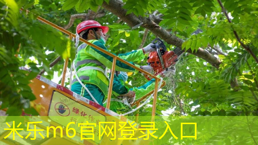 网球拍有没有上万的