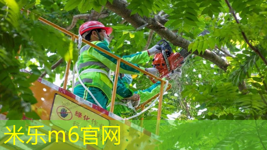 乒乓球台为什么带灯