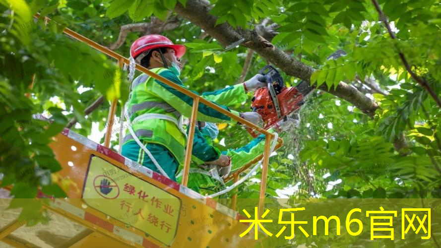 体育器材架篮球筐